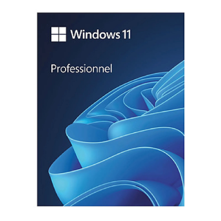 Microsoft Windows 11 Professionnel | 1 PC | Licence Digitale Définitive | Téléchargement